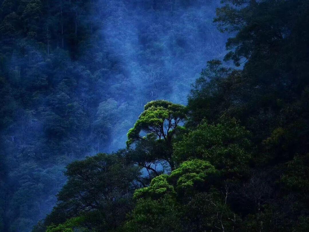 没钱，能谈恋爱吗？游戏画面