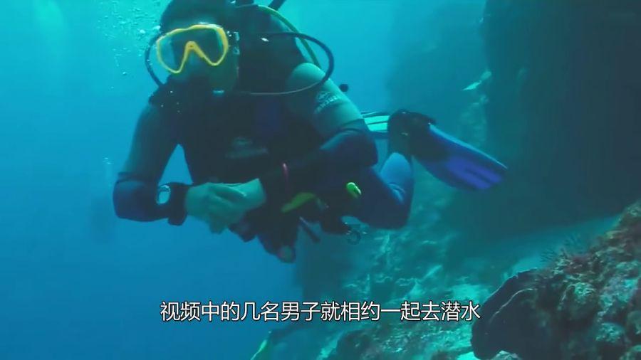 萌宠好又多
